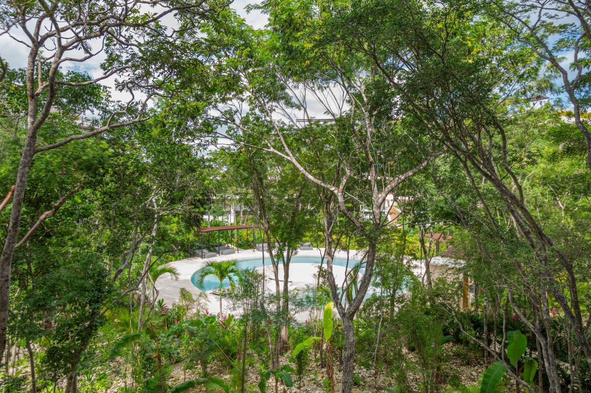 Mistiq Temple II Luxury Apartment 툴룸 객실 사진